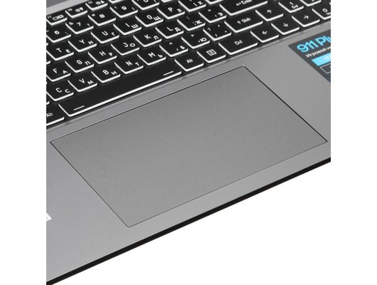 Ноутбук игровой Thunderobot 911 Plus 3D/JT009L00RRU/Core i5-13420H/16Gb/512Gb/17.3 FHD 144Hz/RTX3050 4Gb/Win11